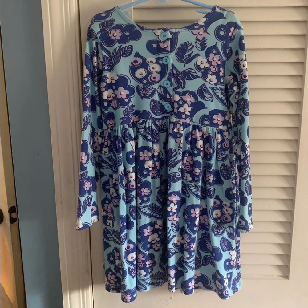 Hanna Andersson dress